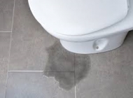 Nguyên nhân và cách sửa bồn cầu bị rỉ nước không ngớt