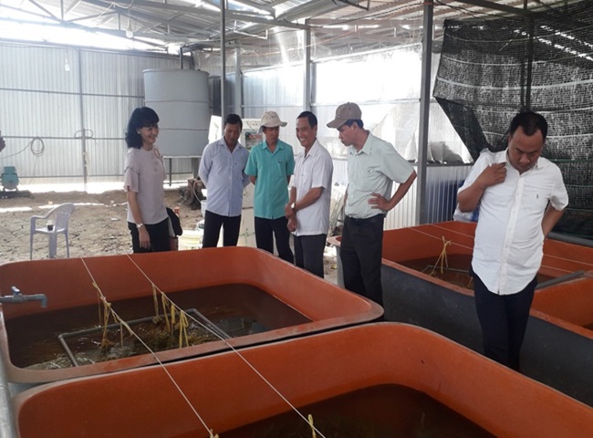 Công ty cung cấp bùn vi sinh quận 4 có quy trình chuyên nghiệp