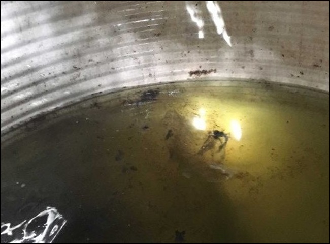 vệ sinh bồn nước quận 4